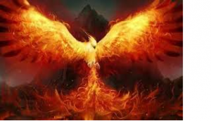 Rising from the Ashes